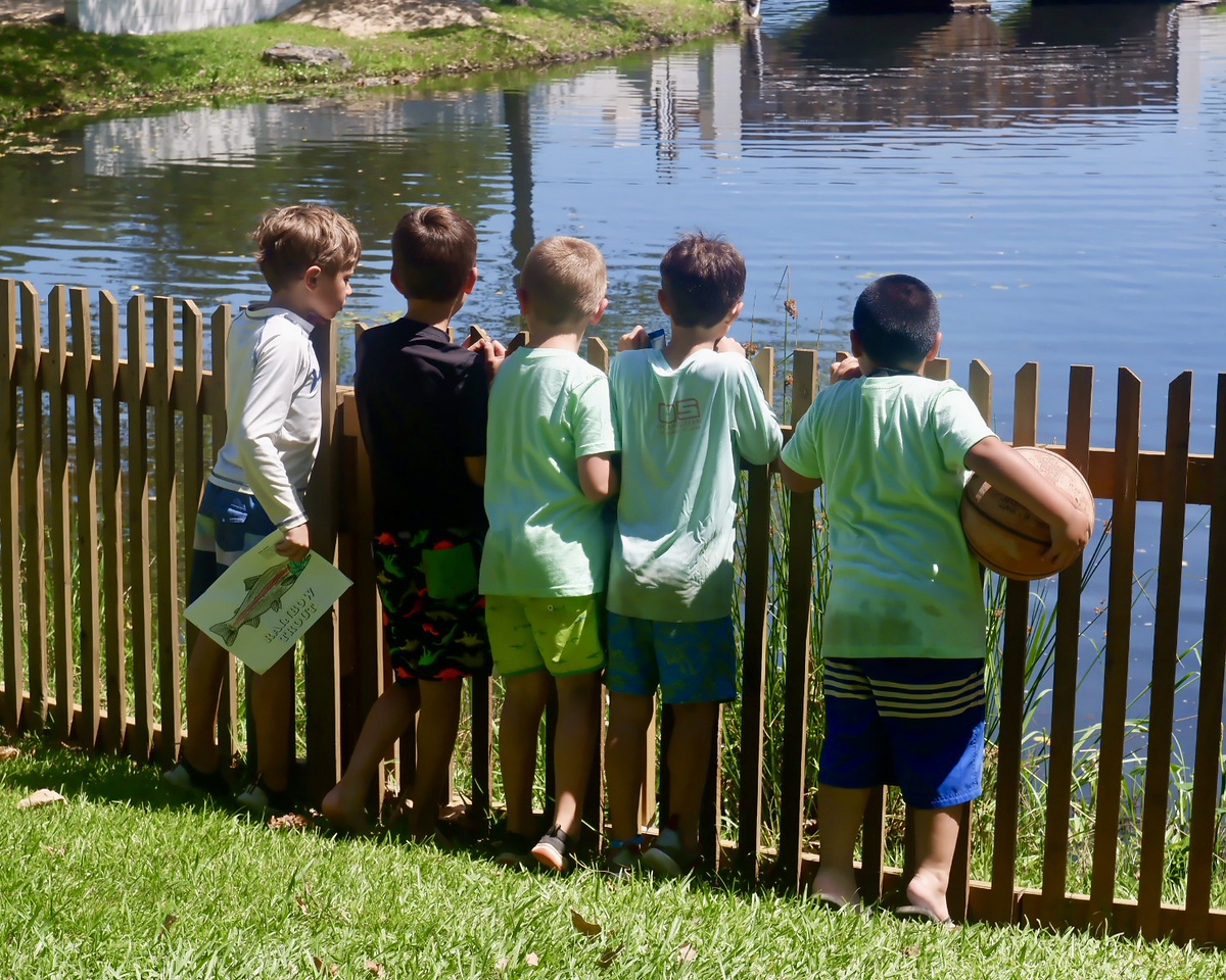 boys along the fence